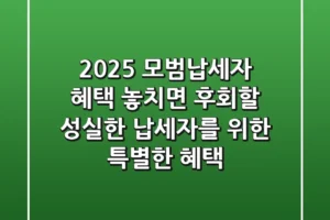 2025 모범납세자 혜택 놓치면 후회할 성실한 납세자를 위한 특별한 혜택