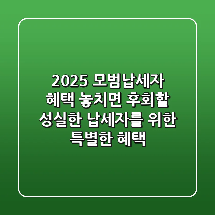 2025 모범납세자 혜택 놓치면 후회할 성실한 납세자를 위한 특별한 혜택