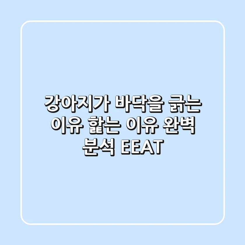 강아지가 바닥을 긁는 이유 핥는 이유 완벽 분석 EEAT