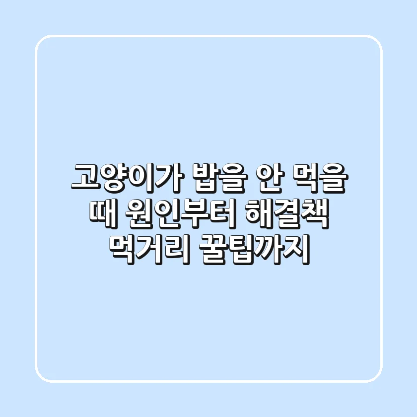 고양이가 밥을 안 먹을 때 원인부터 해결책 먹거리 꿀팁까지