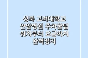 성북 고려대학교 안암병원 주차꿀팁 위치부터 요금까지 완벽정리