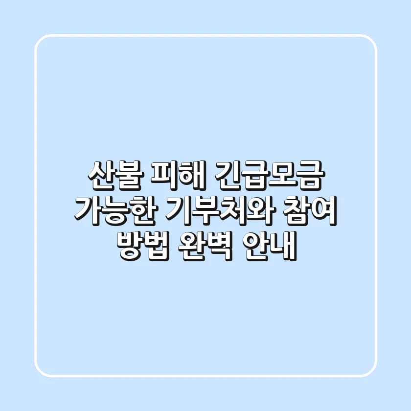 산불 피해 긴급모금: 가능한 기부처와 참여 방법 완벽 안내