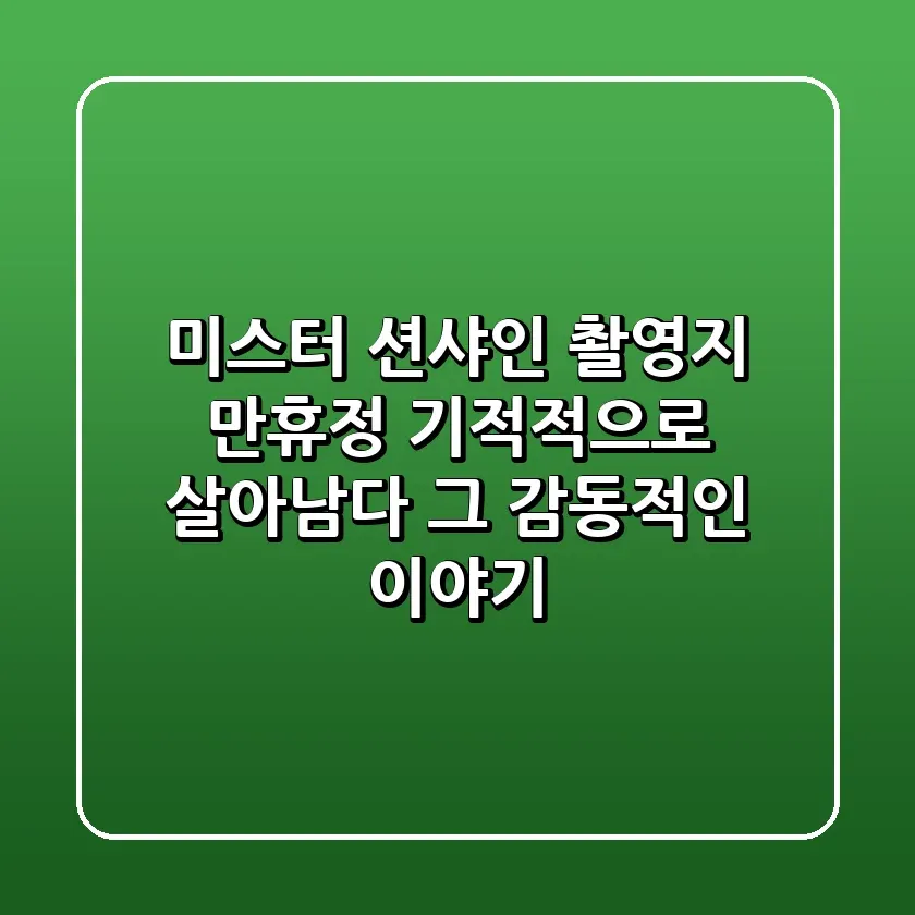 미스터 션샤인 촬영지 만휴정 기적적으로 살아남다 그 감동적인 이야기