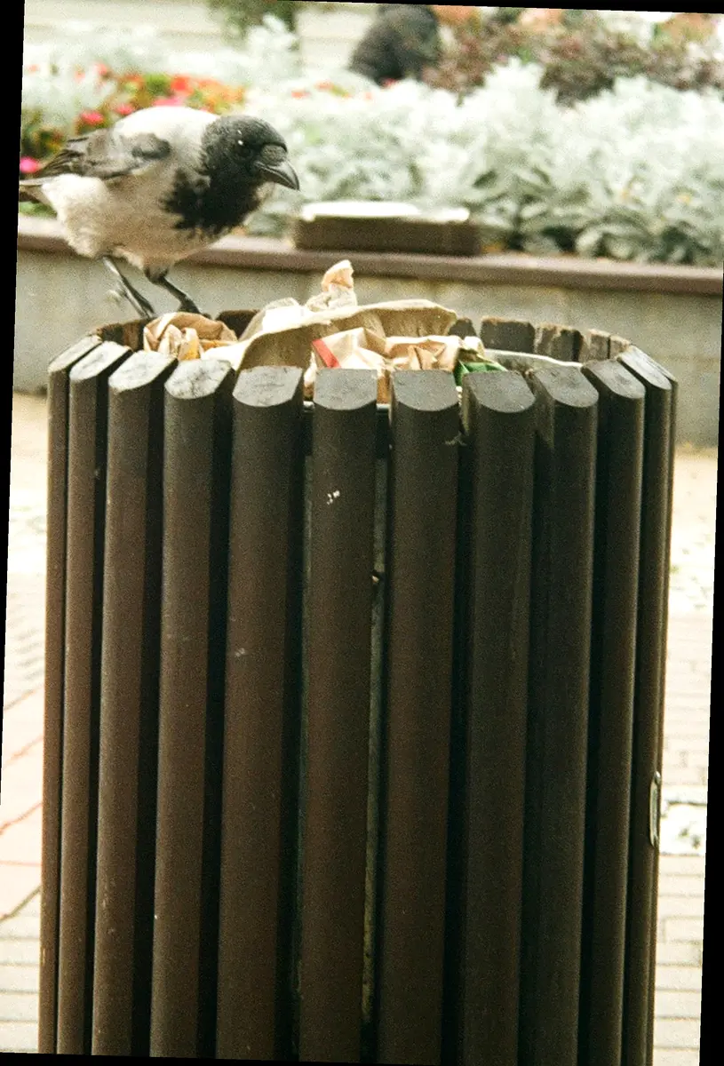 활명탄, 어떻게 사용해야 할까요?