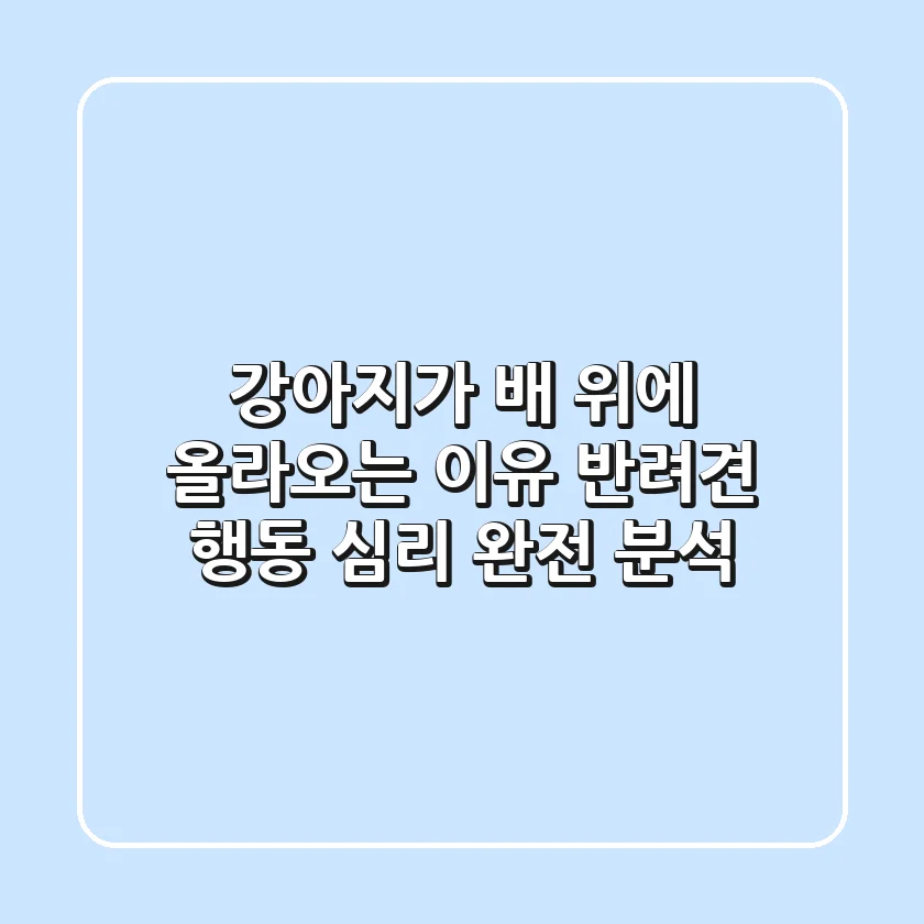 강아지가 배 위에 올라오는 이유? 반려견 행동 심리 완전 분석!