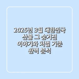 2025년 3월 대한민국 산불, 그 숨겨진 이야기와 처벌 기준 완벽 분석!