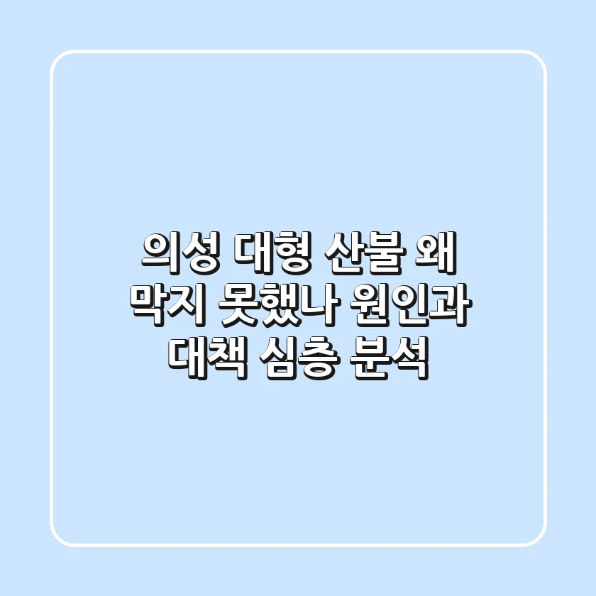 의성 대형 산불, 왜 막지 못했나? 원인과 대책 심층 분석