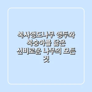 복사앵도나무: 앵두와 복숭아를 닮은 신비로운 나무의 모든 것