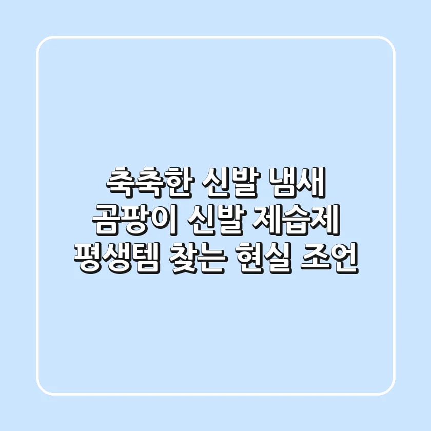 축축한 신발 냄새, 곰팡이? 신발 제습제 평생템 찾는 현실 조언