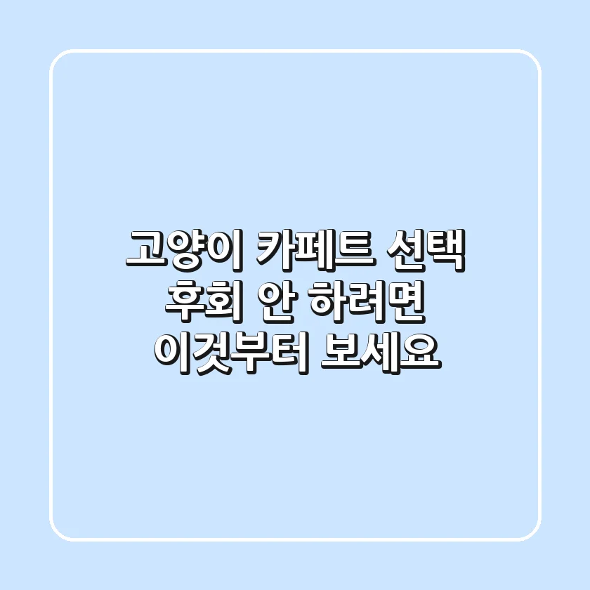 고양이 카페트, 선택 후회 안 하려면 이것부터 보세요!