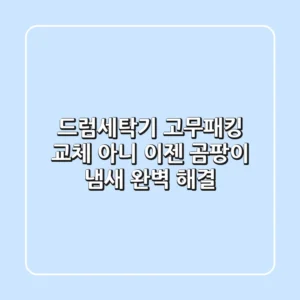 드럼세탁기 고무패킹 교체? 아니, 이젠 곰팡이 냄새 완벽 해결!