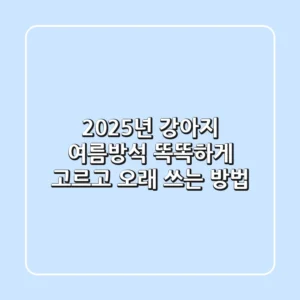 2025년 강아지 여름방석, 똑똑하게 고르고 오래 쓰는 방법