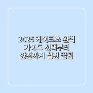 2025 케이크초 완벽 가이드: 선택부터 안전까지 실전 꿀팁