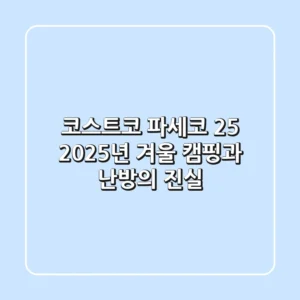 코스트코 파세코 25, 2025년 겨울 캠핑과 난방의 진실