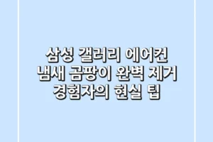 삼성 갤러리 에어컨 냄새, 곰팡이 완벽 제거! 경험자의 현실 팁