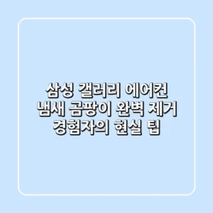 삼성 갤러리 에어컨 냄새, 곰팡이 완벽 제거! 경험자의 현실 팁
