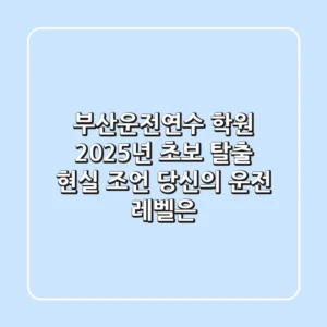 부산운전연수 학원, 2025년 초보 탈출 현실 조언: 당신의 운전 레벨은?