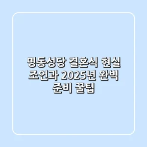 명동성당 결혼식, 현실 조언과 2025년 완벽 준비 꿀팁!