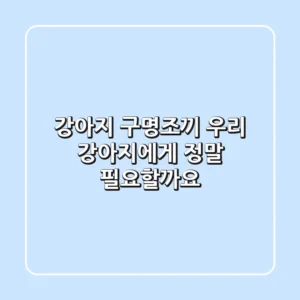 강아지 구명조끼, 우리 강아지에게 정말 필요할까요?