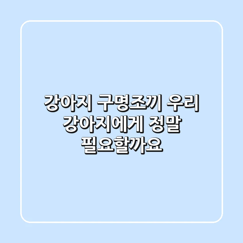 강아지 구명조끼, 우리 강아지에게 정말 필요할까요?