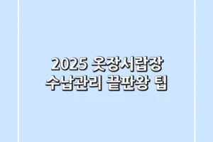 2025 옷장서랍장: 수납-관리 끝판왕 팁