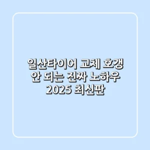 일산타이어 교체, 호갱 안 되는 진짜 노하우 (2025 최신판)