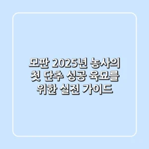 모판, 2025년 농사의 첫 단추: 성공 육묘를 위한 실전 가이드