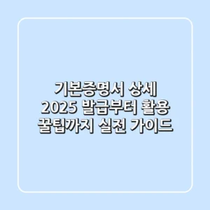 기본증명서 상세, 2025 발급부터 활용 꿀팁까지 실전 가이드