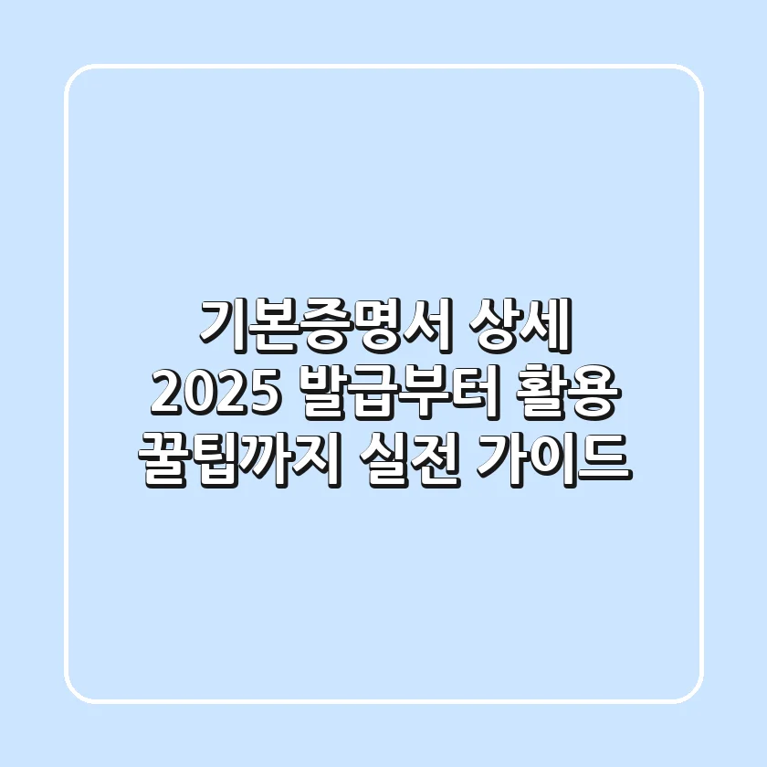 기본증명서 상세, 2025 발급부터 활용 꿀팁까지 실전 가이드