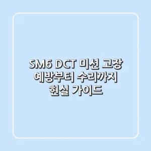 SM6 DCT 미션 고장? 예방부터 수리까지 현실 가이드