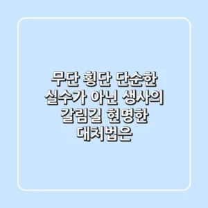 무단 횡단, 단순한 '실수'가 아닌 '생사의 갈림길', 현명한 대처법은?