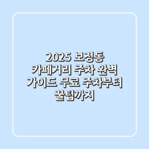 2025 보정동 카페거리 주차 완벽 가이드: 무료 주차부터 꿀팁까지!