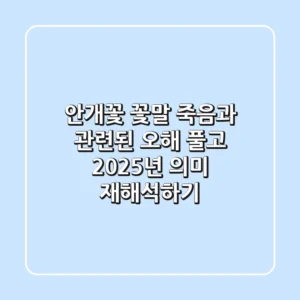 안개꽃 꽃말, 죽음과 관련된 오해 풀고 2025년 의미 재해석하기