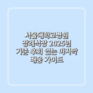 서울대학교병원 장례식장, 2025년 기준 후회 없는 마지막 배웅 가이드