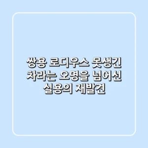 쌍용 로디우스: 못생긴 차라는 오명을 넘어선 실용의 재발견