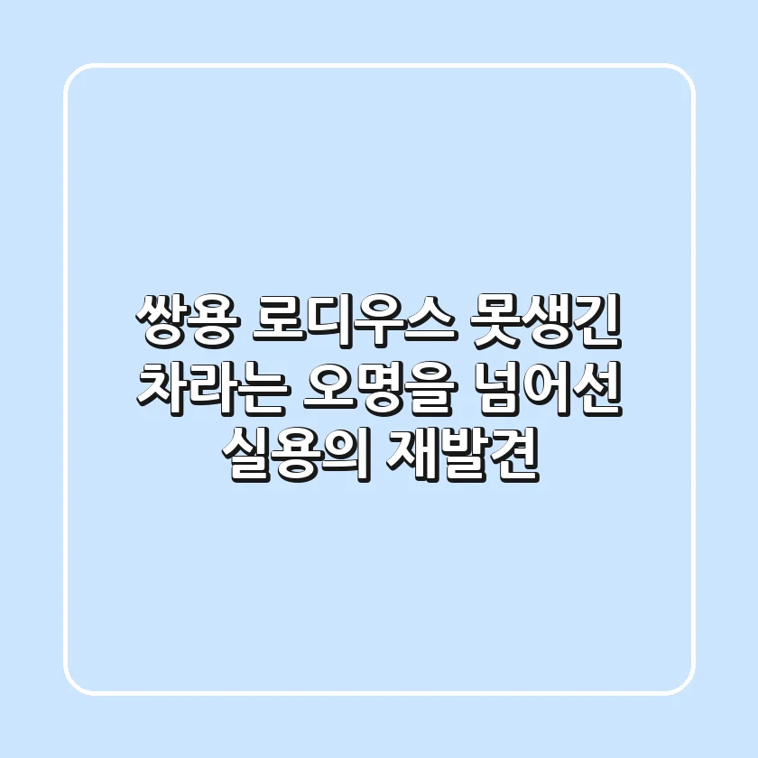 쌍용 로디우스: 못생긴 차라는 오명을 넘어선 실용의 재발견