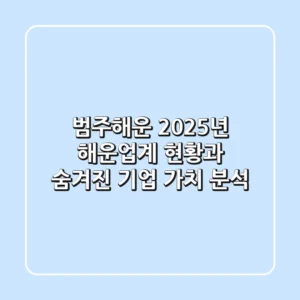 범주해운, 2025년 해운업계 현황과 숨겨진 기업 가치 분석