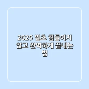 2025 벌초, 힘들이지 않고 완벽하게 끝내는 법