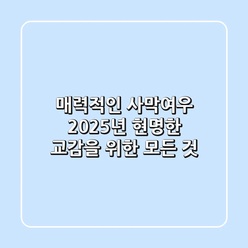매력적인 사막여우, 2025년 현명한 교감을 위한 모든 것