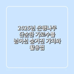 2025년 은행나무, 단순한 가로수를 넘어선 숨겨진 가치와 활용법