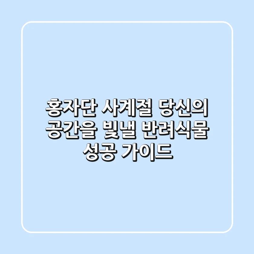 홍자단, 사계절 당신의 공간을 빛낼 반려식물 성공 가이드