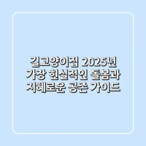 길고양이집, 2025년 가장 현실적인 돌봄과 지혜로운 공존 가이드