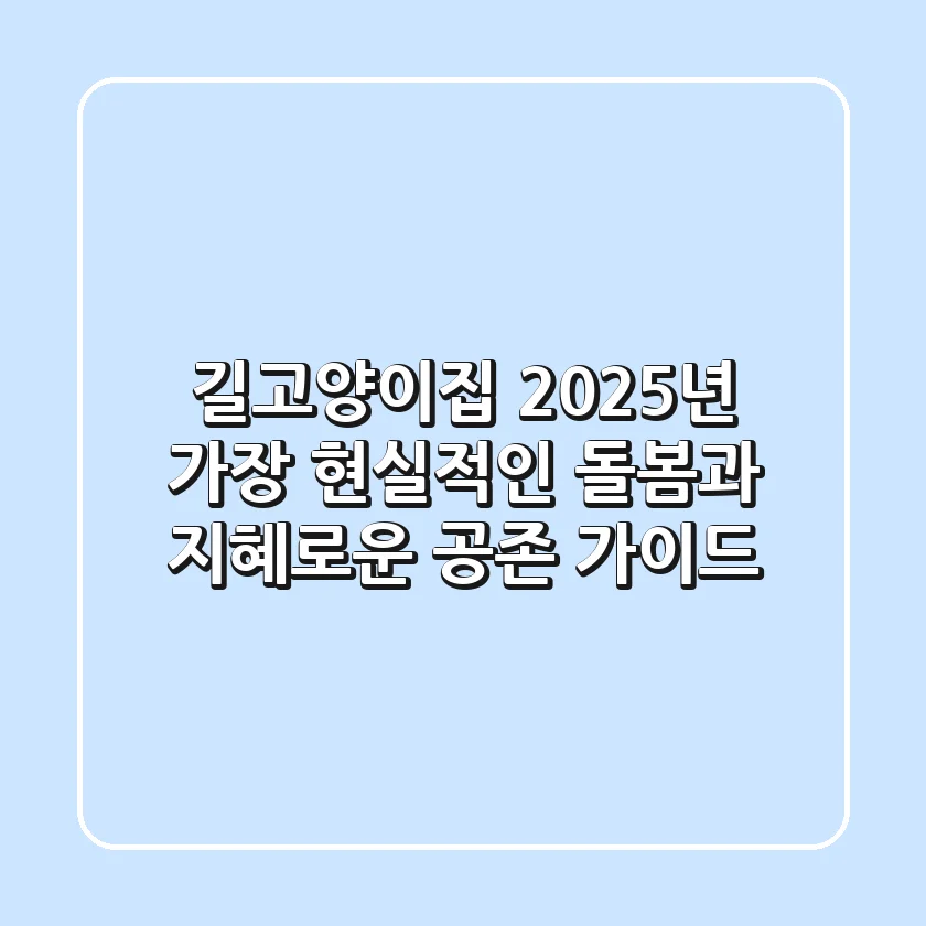 길고양이집, 2025년 가장 현실적인 돌봄과 지혜로운 공존 가이드
