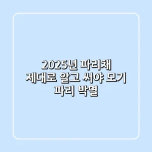 2025년 파리채, 제대로 알고 써야 모기 파리 박멸!