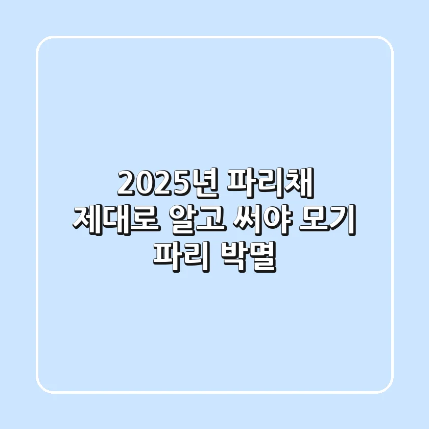 2025년 파리채, 제대로 알고 써야 모기 파리 박멸!