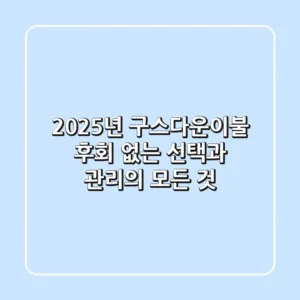 2025년 구스다운이불, 후회 없는 선택과 관리의 모든 것