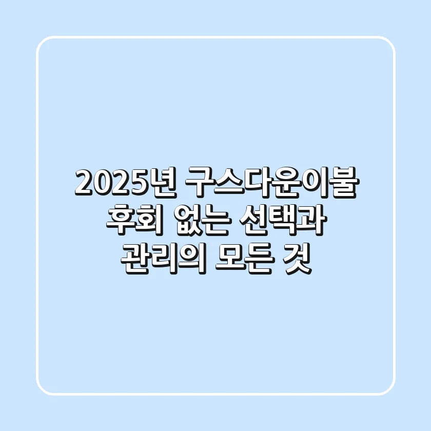 2025년 구스다운이불, 후회 없는 선택과 관리의 모든 것