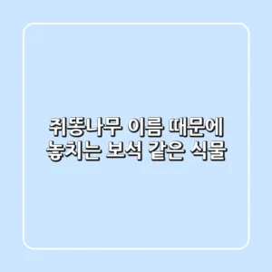 쥐똥나무, 이름 때문에 놓치는 보석 같은 식물
