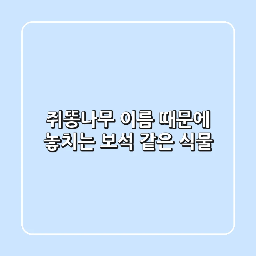 쥐똥나무, 이름 때문에 놓치는 보석 같은 식물