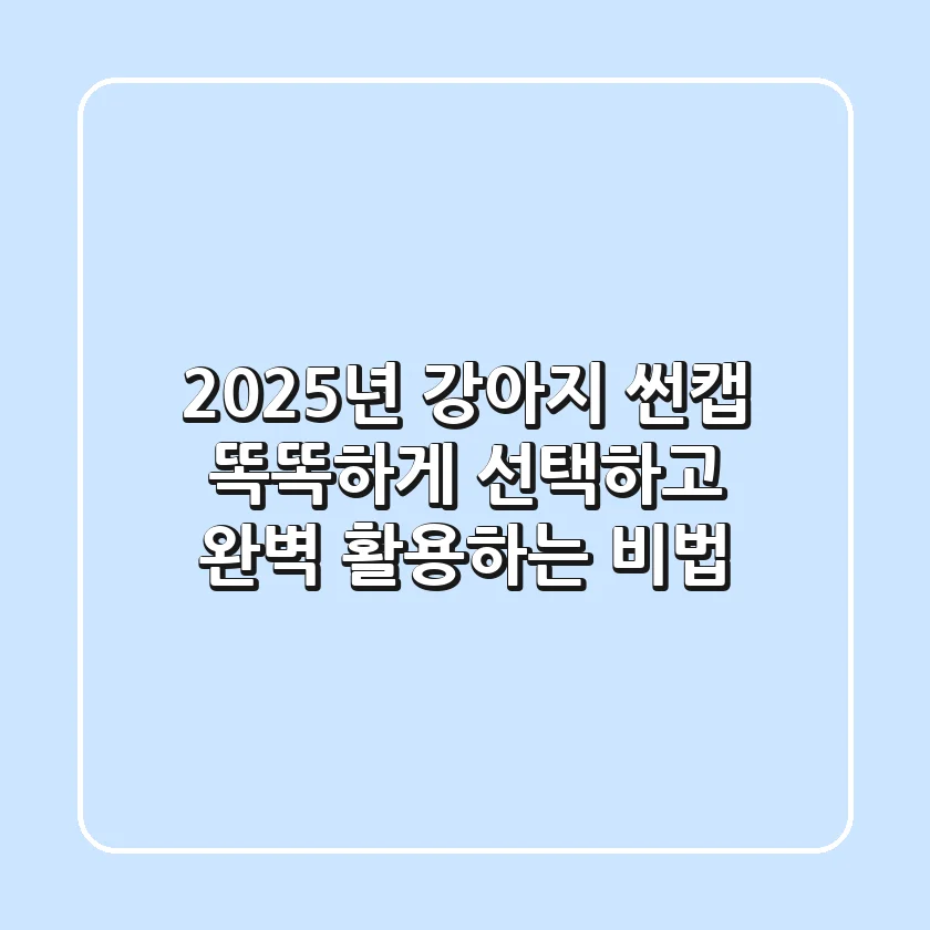 2025년 강아지 썬캡, 똑똑하게 선택하고 완벽 활용하는 비법
